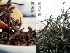 【茶知识】茶叶发酵的关
