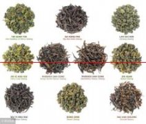 教你三招辨别茶叶，学会这几招，也可以成为辨茶高手