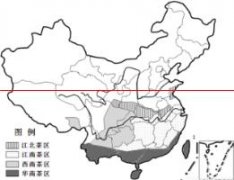舌尖上的中国：江南茶区