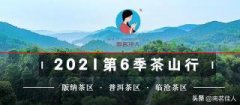 【试喝】2021《莽枝》古春