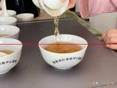陈馨：茶汤的“冷后浑”是什么？