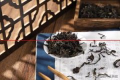 品中王：武夷岩茶的当家花旦——肉桂茶