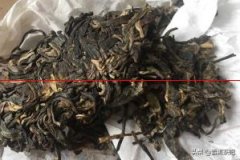 深度发酵茶类——黑茶存