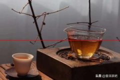 教你如何分辨普洱熟茶的