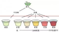 【懂茶帝】六大茶类中主要成分的含量有多大？