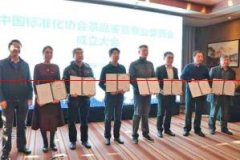 全国首个！中国标协茶品鉴赏专业委员会在青岛成立