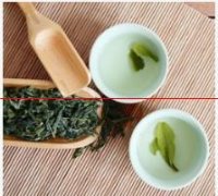 绿茶茶叶中的独特品种—