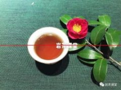 上万元一斤的武夷岩茶，