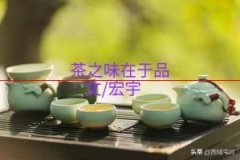 与文友品茶：茶如人生