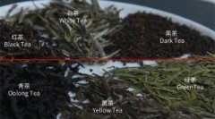 茶知识丨绿茶、红茶是根