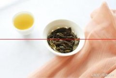 如何判断普洱茶的年份长短？
