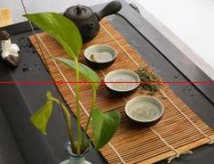 中国十大名茶——洞庭碧螺春