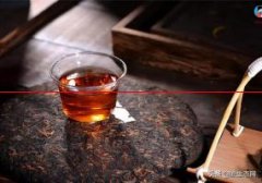 茶中圣品——普洱茶
