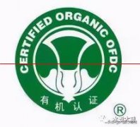 班章茶的“白菜”到底是什么意思？