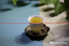 普洱茶为什么要醒茶？