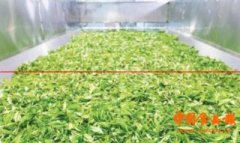 帝泊洱：打造云茶产业的健康产品