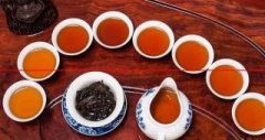 砍柴哥：茶园茶和野茶的区别，你知道吗？