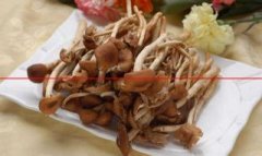 茶树菇这样做，味道鲜美，脆嫩可口，又具有较好的保健功能