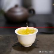 为什么说普洱茶“芽头”多不一定是好茶？