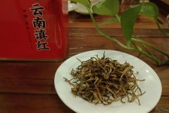 金丝红茶怎么泡(金丝红茶