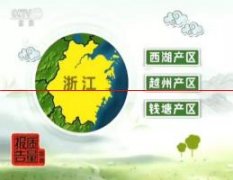 北京市消费者协会公布龙井茶比较试验结果：以次充好、虚标等级
