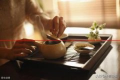 为什么中国人喝茶时，不会往茶叶里添加佐料？