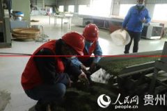 贵州石阡：供电服务“在线不停歇”助力茶产业快速发展