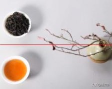 茶中之王——大红袍的正确冲泡、品饮方法