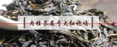 武夷岩茶中最出名的肉桂