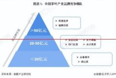 肖枫霖：中国茶叶行业区