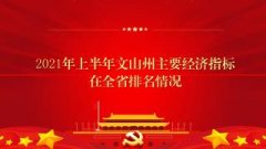 【乡村振兴】云南文山州：税务部门助力产业振兴
