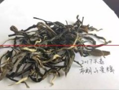 【云茶山】布朗山曼糯：藏在大山深处的珍贵古树茶
