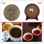 【江湖茗人】熟茶和生茶，到底有什么不同？