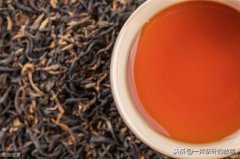 为什么铁观音、龙井可以用芽尖做出好茶？